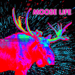 Moose Life