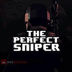 The Perfect Sniper