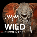 Virry VR: Wild Encounters