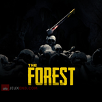 The Forest